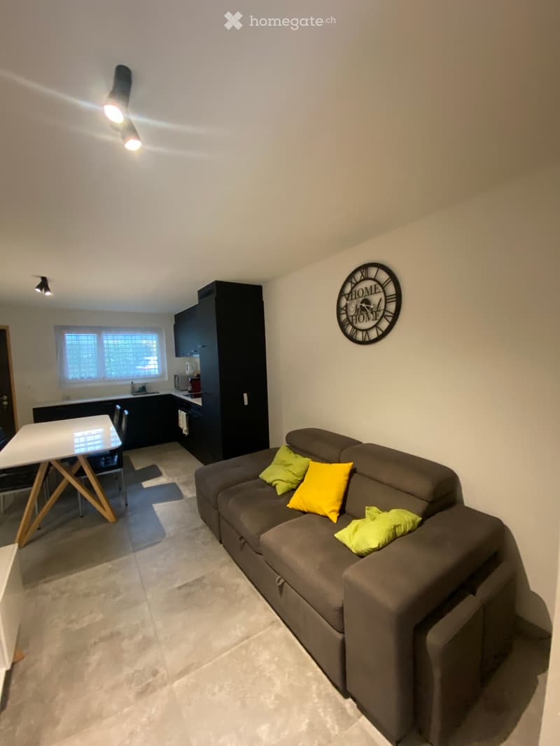 Appartement 2 pièces (4)