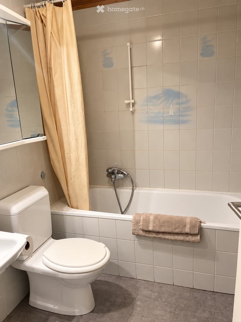 Appartement 3.5 pces Sion (4)
