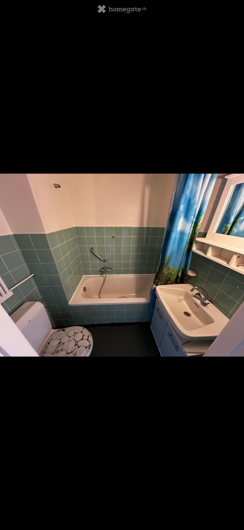 Studio a Versoix (2)