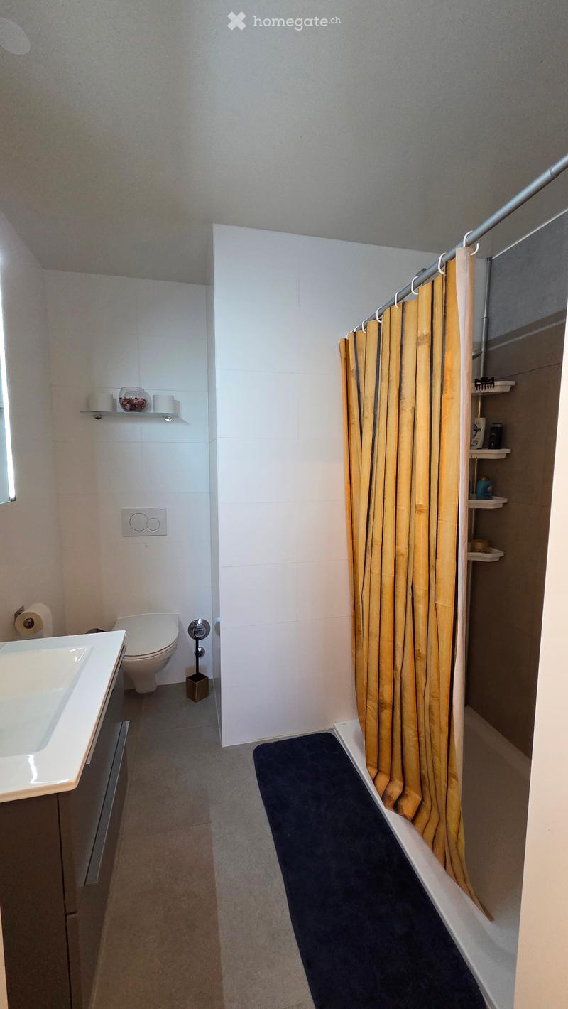 Reprise de bail d'un bel appartement dans le calme (4)
