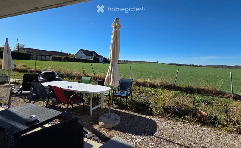 Reprise de bail d'un bel appartement dans le calme (9)