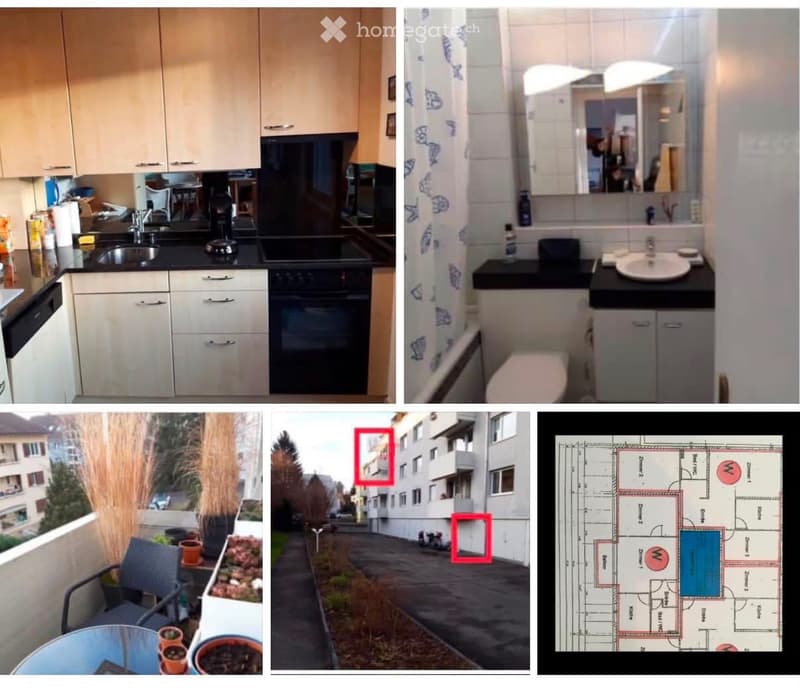 Wohnung (1)