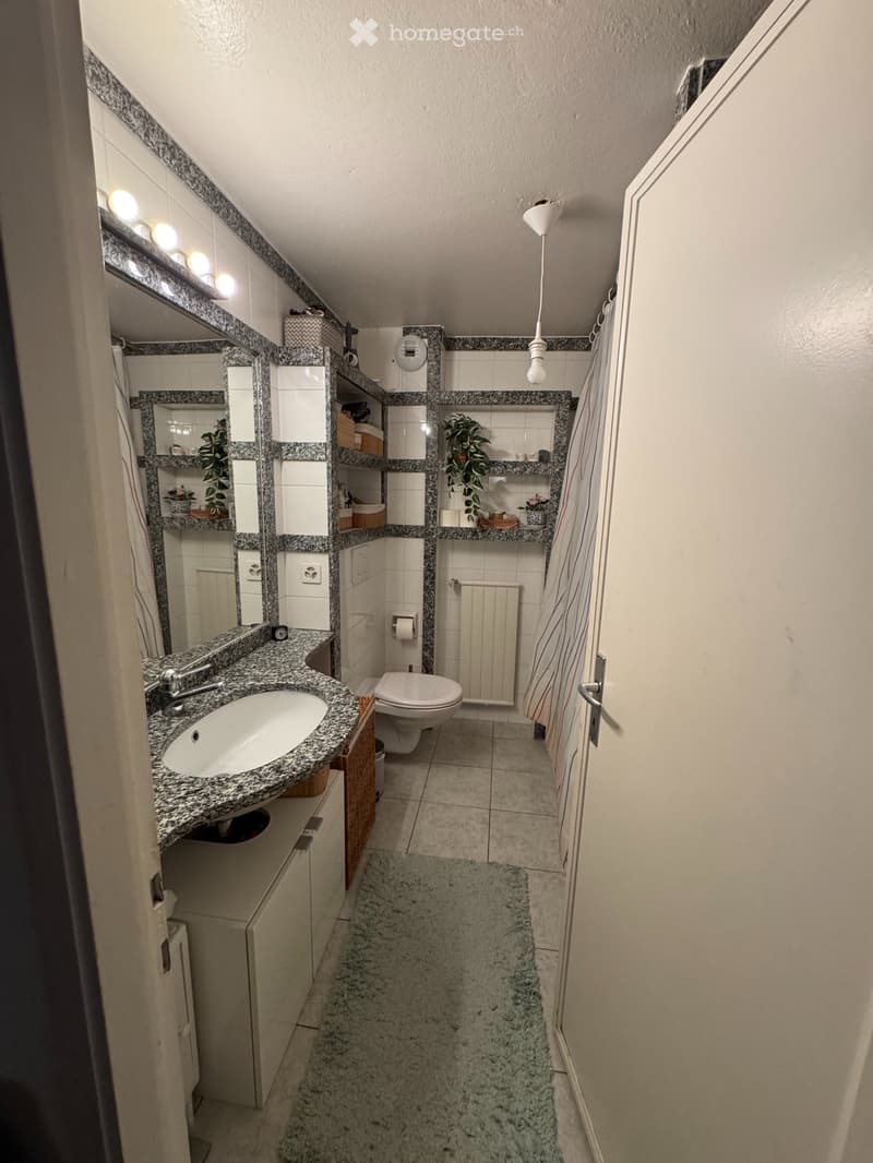 Appartement de 3 pièces à Champel (5)