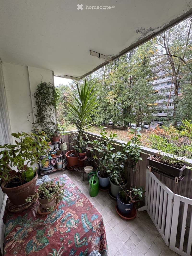 Appartement de 3 pièces à Champel (2)