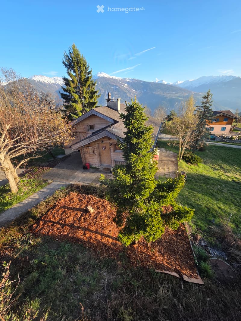 Chalet mitoyen (9)