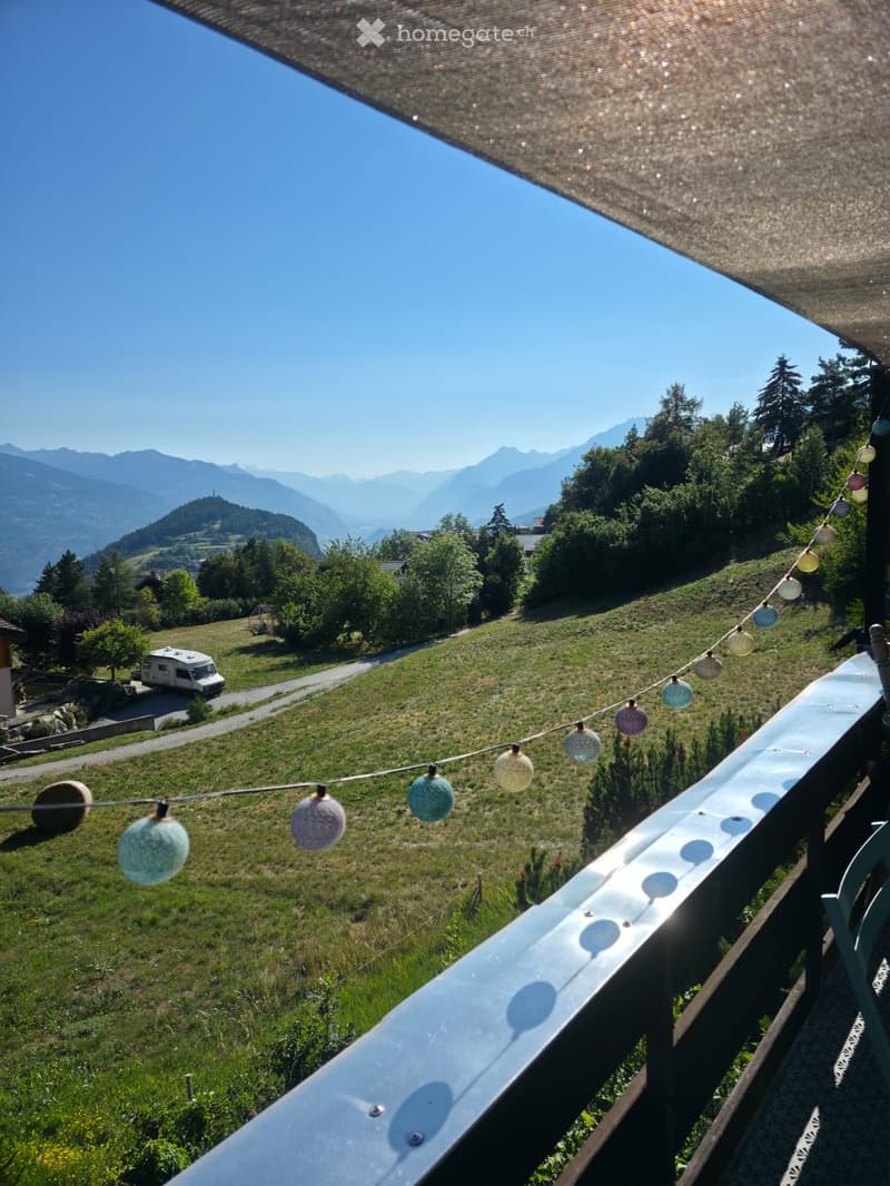 Chalet mitoyen (1)