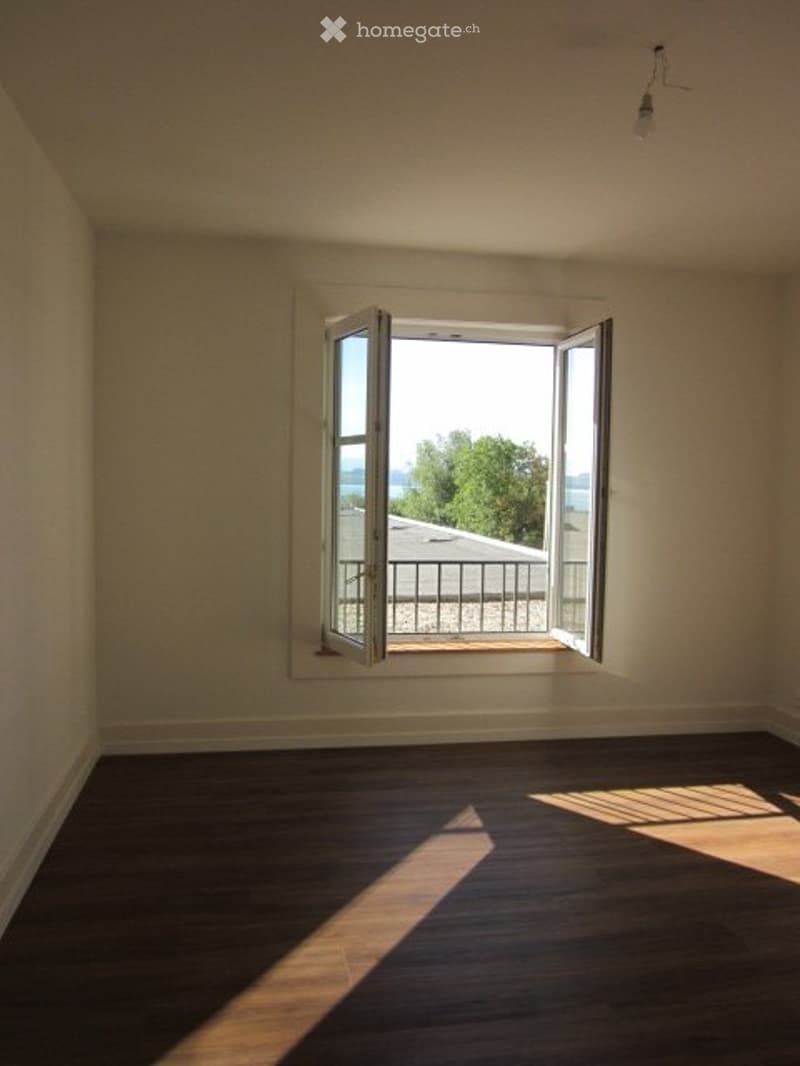 A louer appartement 3 pièces totalement rénové (2)