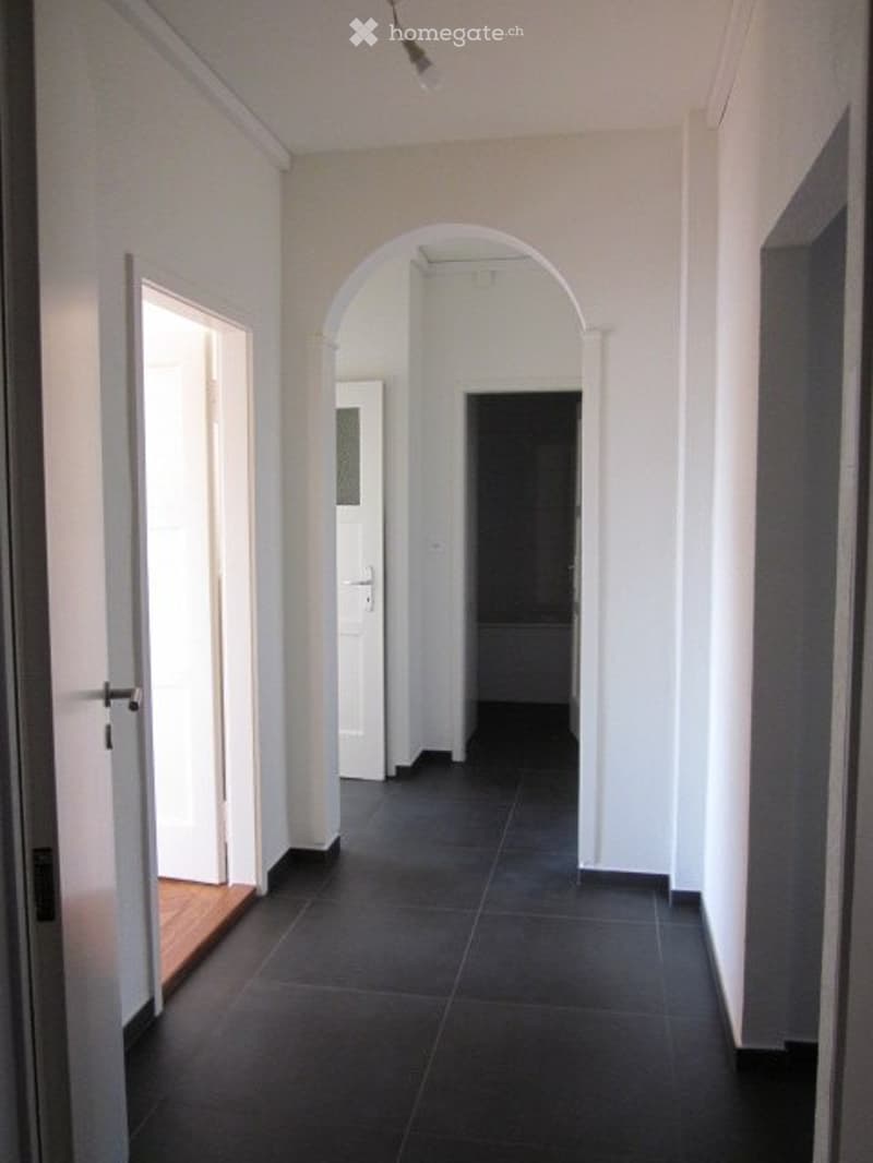 A louer appartement 3 pièces totalement rénové (5)