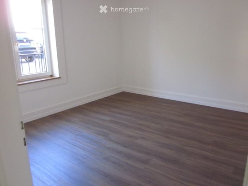 A louer appartement 3 pièces totalement rénové (3)