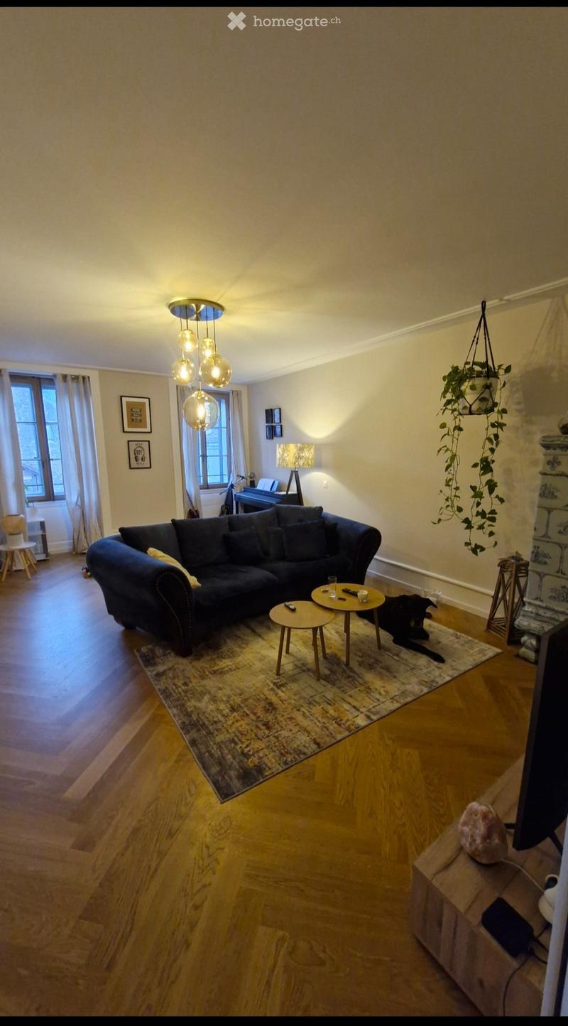 Bel appartement 3 pièces (2)