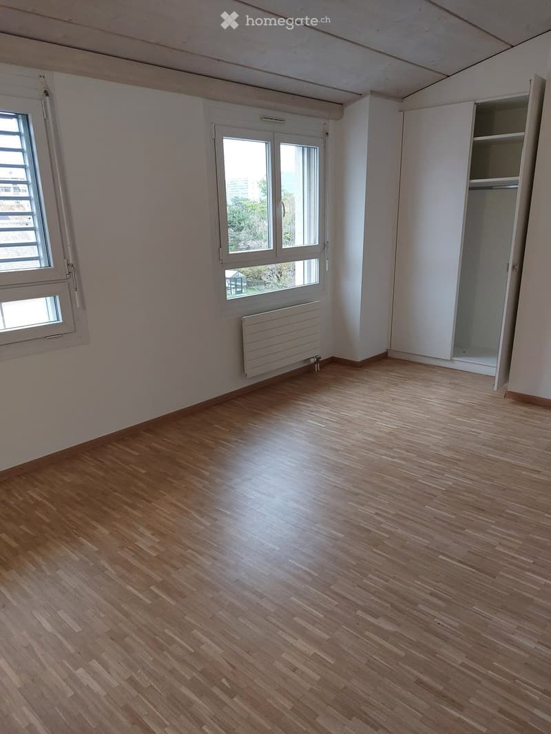 Magnifique attique 5 pièces en duplex 130 m² + terrasse (4)