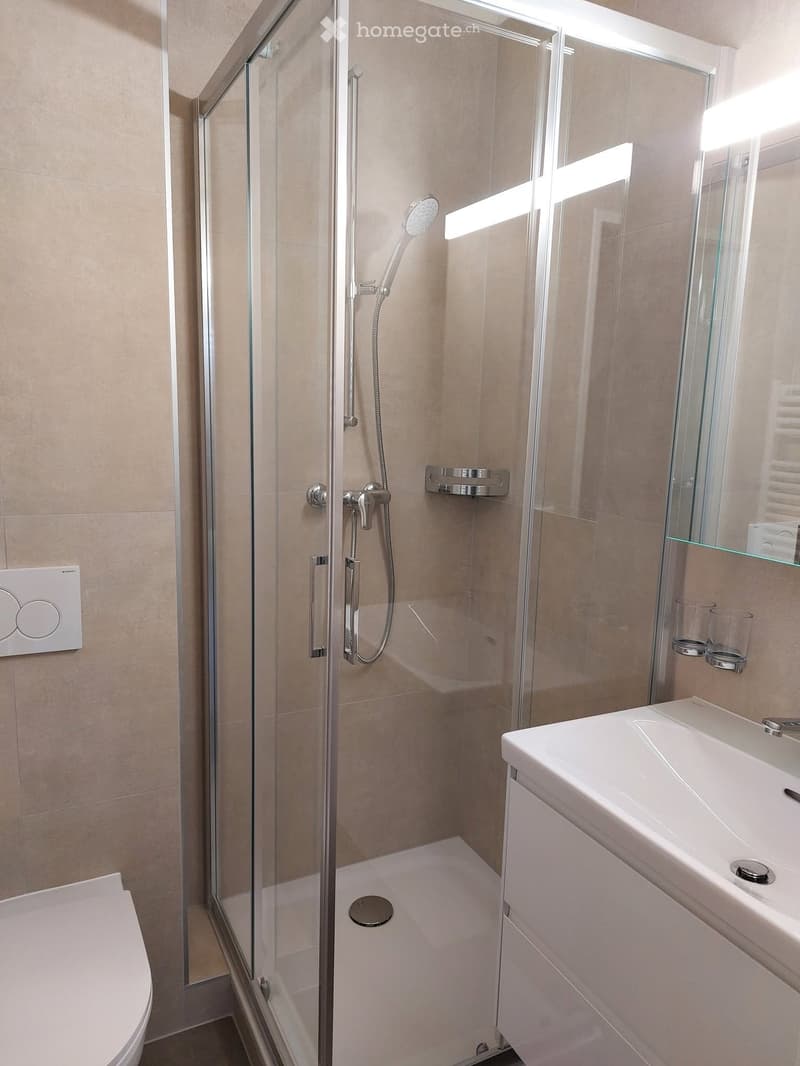 Magnifique attique 5 pièces en duplex 130 m² + terrasse (3)