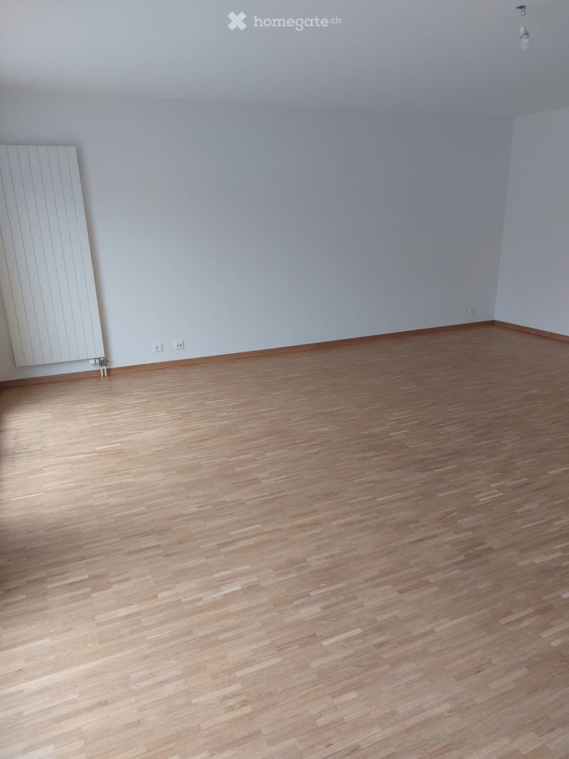 Magnifique attique 5 pièces en duplex 130 m² + terrasse (1)