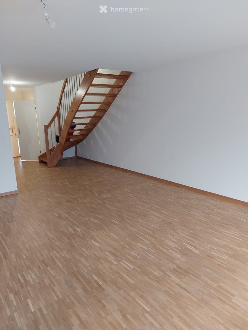Magnifique attique 5 pièces en duplex 130 m² + terrasse (2)