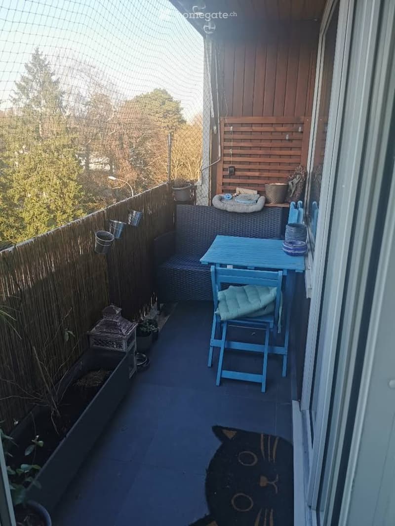 Magnifique 3 pièces au Grand-Lancy (5)