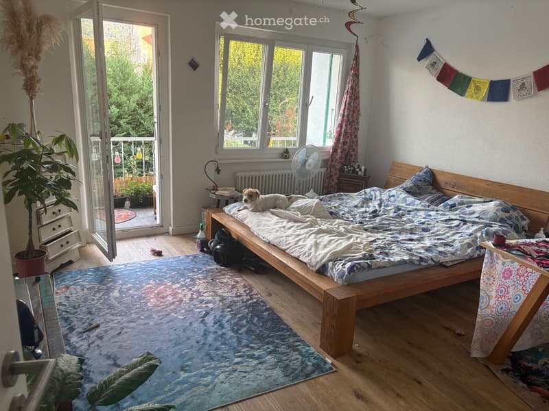 1.5 pièce à Rolle (1)