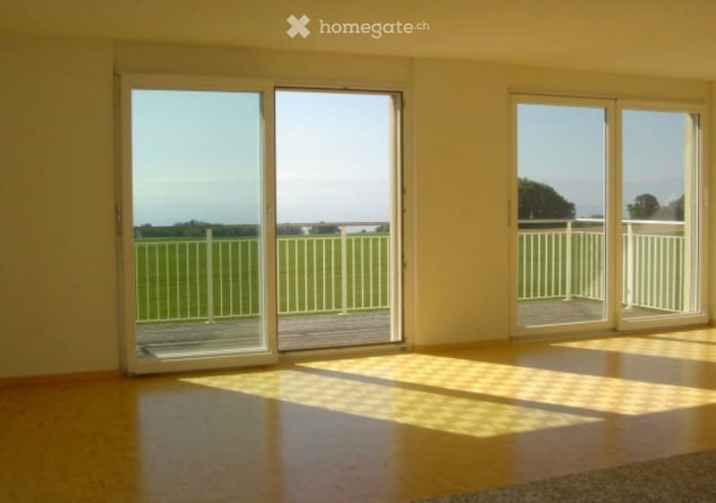 Appartement en duplex de 5.5 pièces (4)