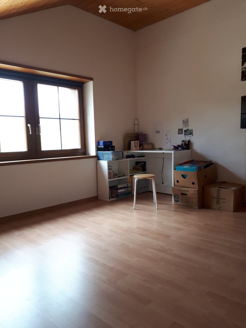 Appartement triplex 140m2 (5)