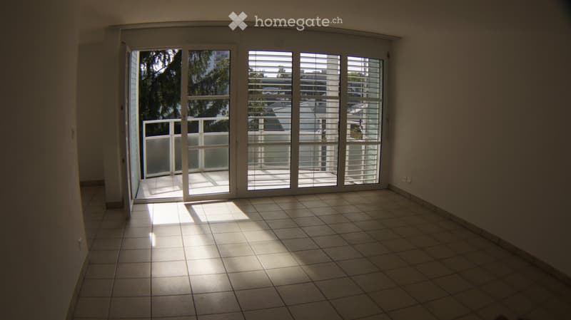 Appartement 3.5 pièces dernier étage avec ascenseur (1)