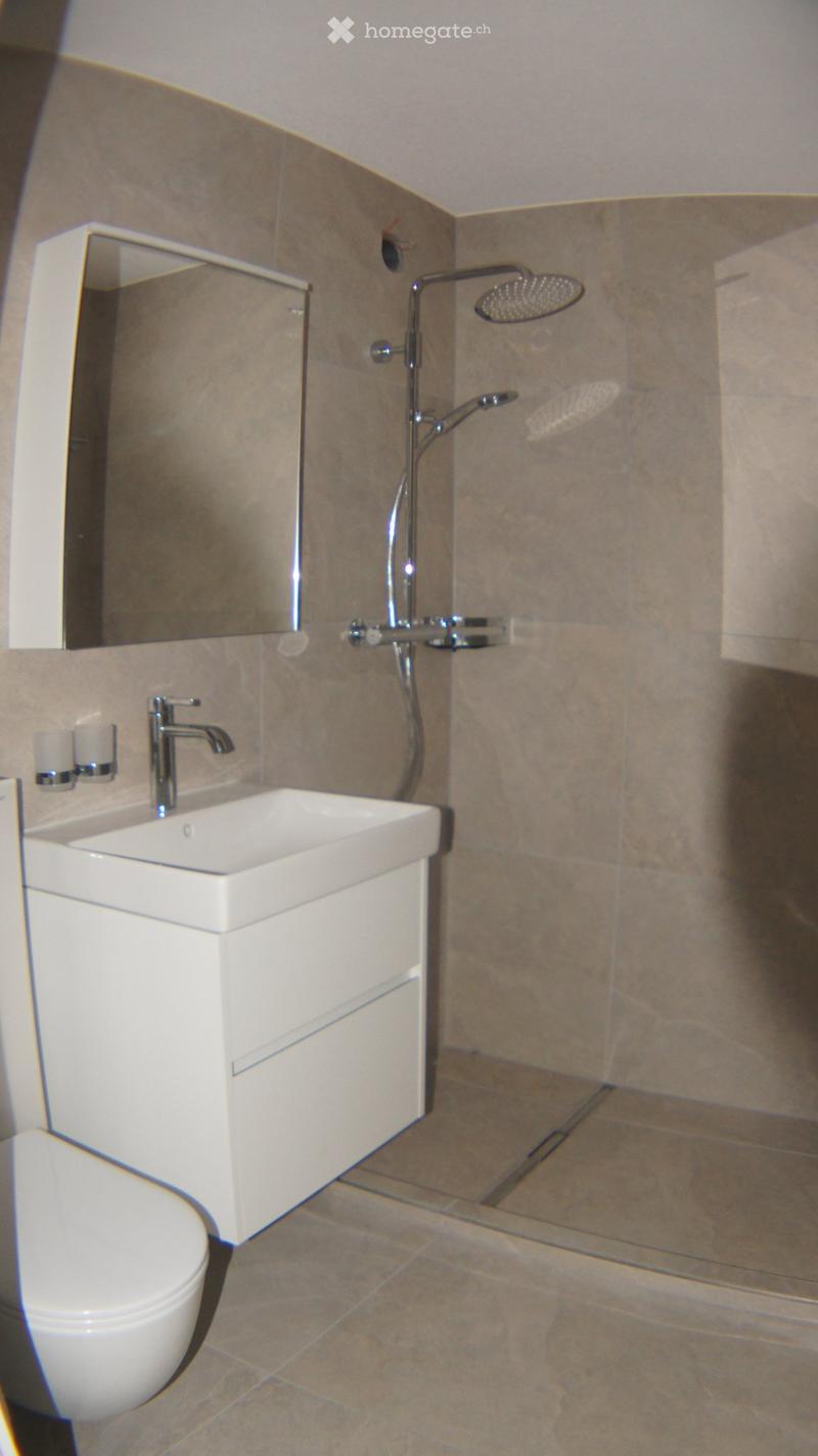 Appartement 3.5 pièces dernier étage avec ascenseur (4)