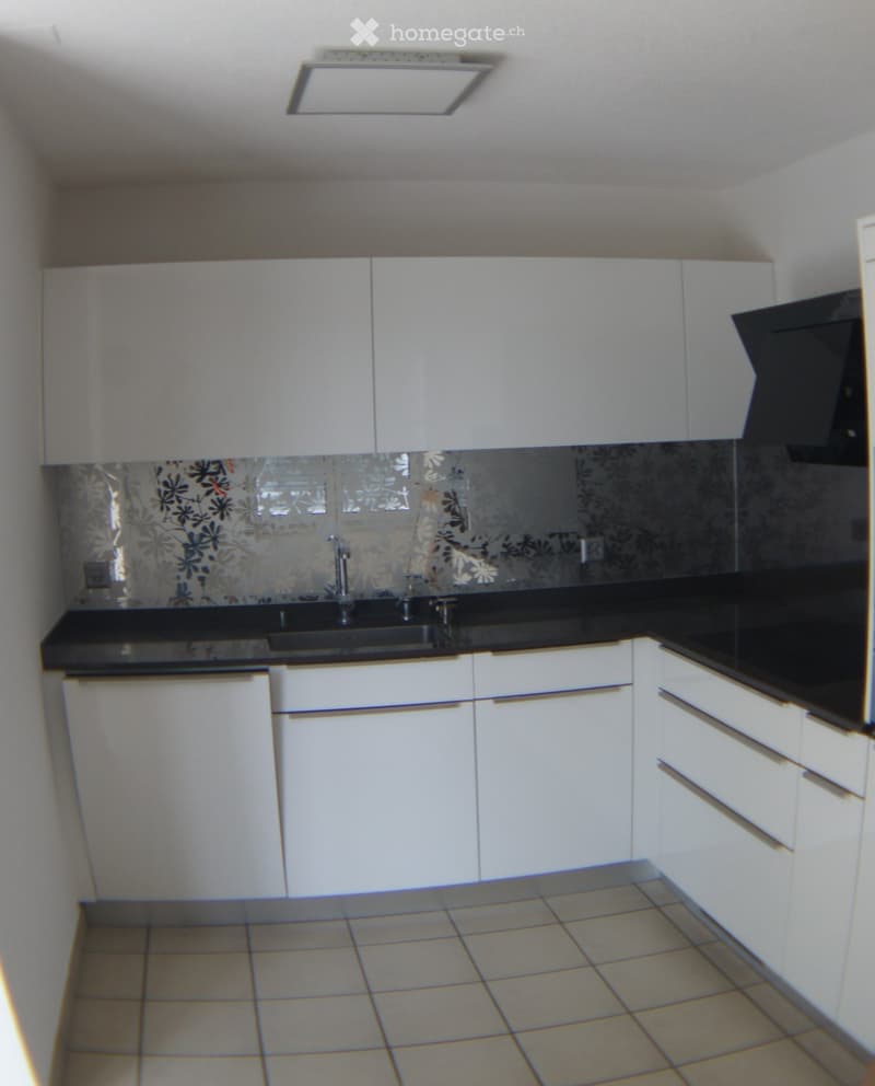 Appartement 3.5 pièces dernier étage avec ascenseur (5)