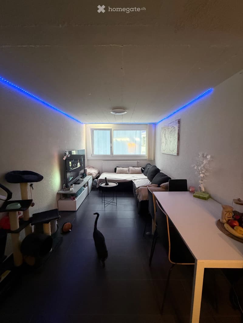Appartement à louer (1)