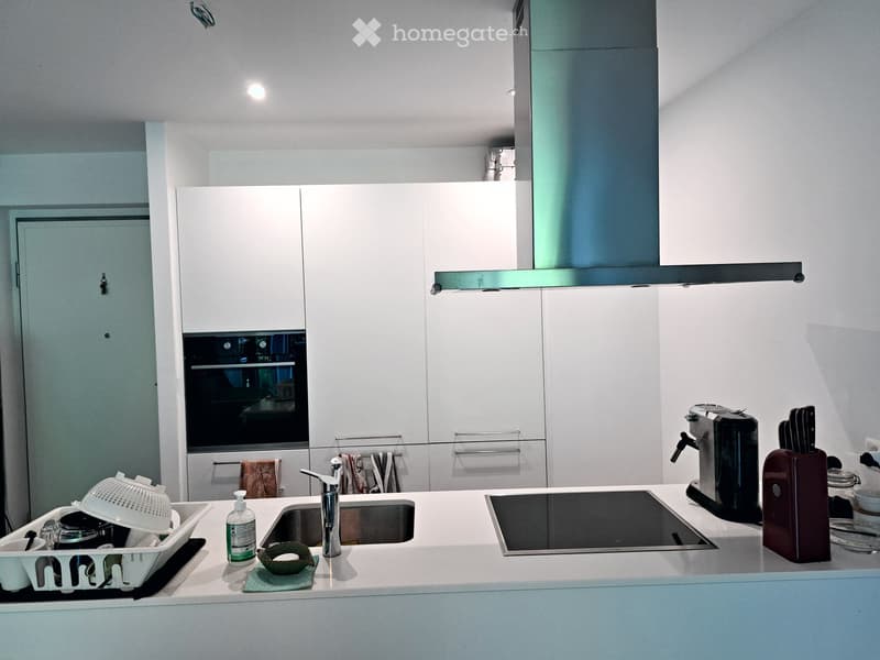 2.5 locali, terrazza coperta nel verde e box Pedrinate (2)