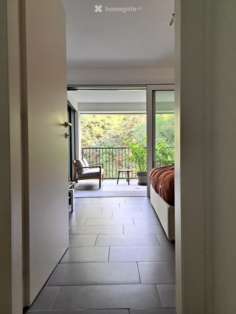 2.5 locali, terrazza coperta nel verde e box Pedrinate (3)