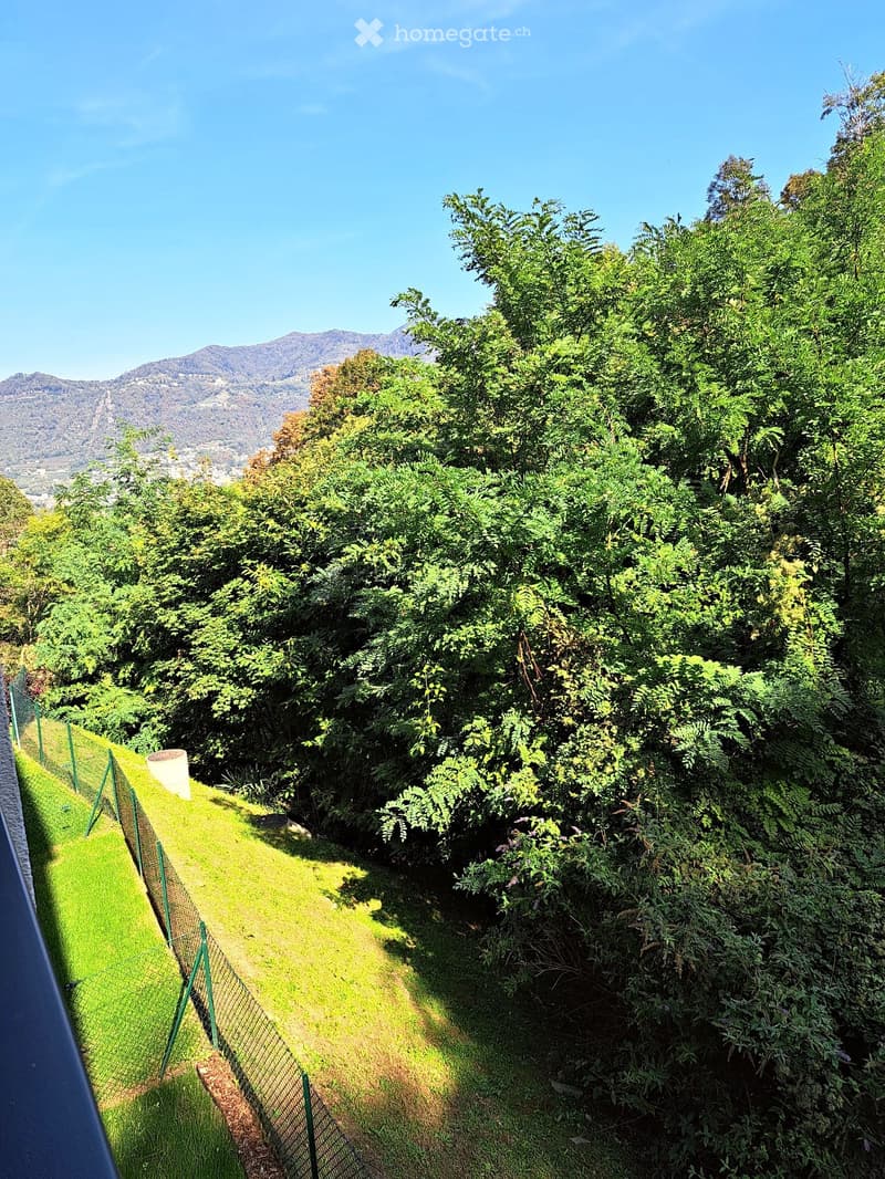 2.5 locali, terrazza coperta nel verde e box Pedrinate (5)