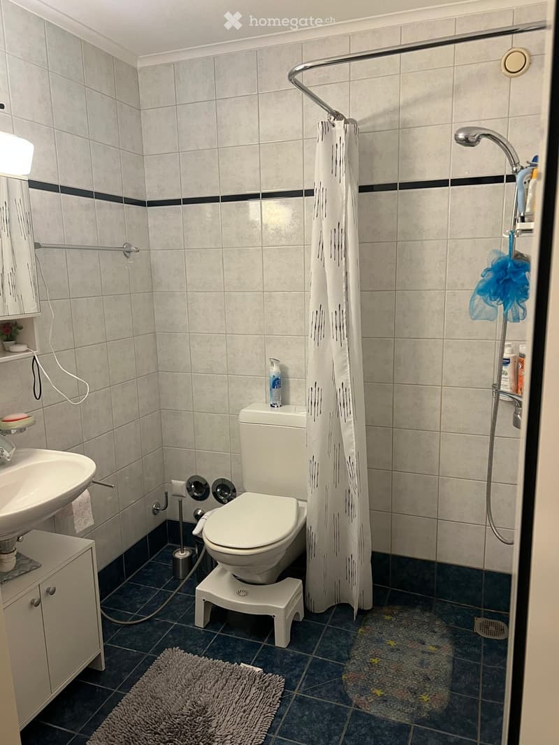 À LOUER 3,5 Bel appartement à Vevey (3)
