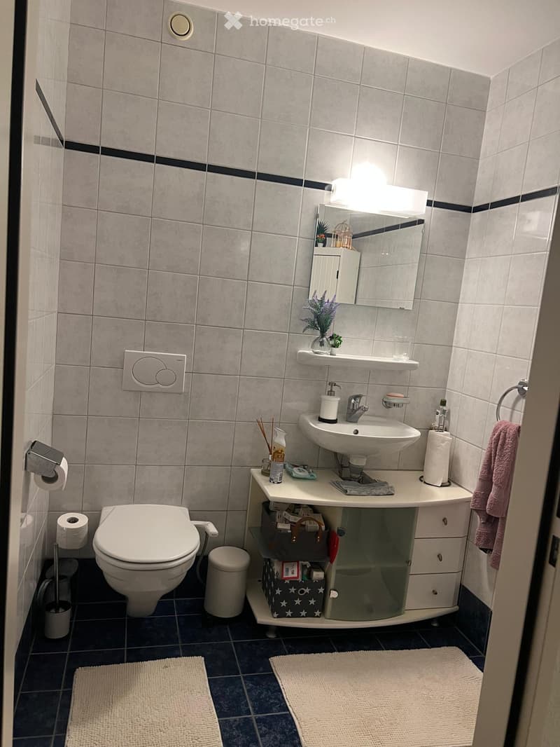À LOUER 3,5 Bel appartement à Vevey (2)