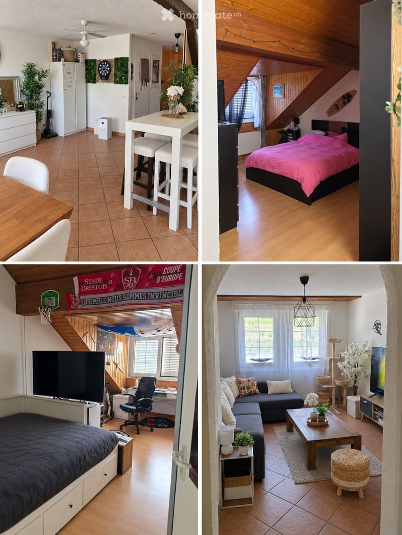Beau 5 pièces en duplex avec terrasse (2)