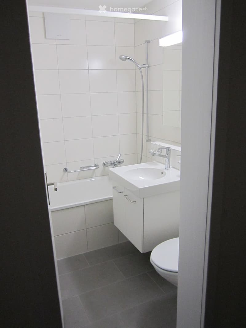 helle und sonnige 3,5-Zi-NR-Dach-Eckwohnung (4)