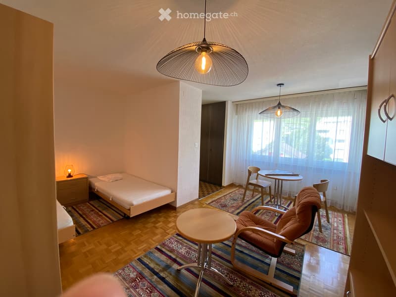 Grand studio meublé à louer de suite à Sierre (2)