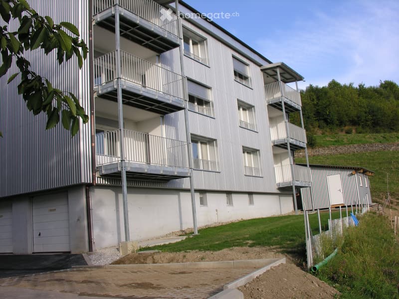 Attraktives Wohnen im Sensebezirk- Erstbezug n. Renovierung (1)