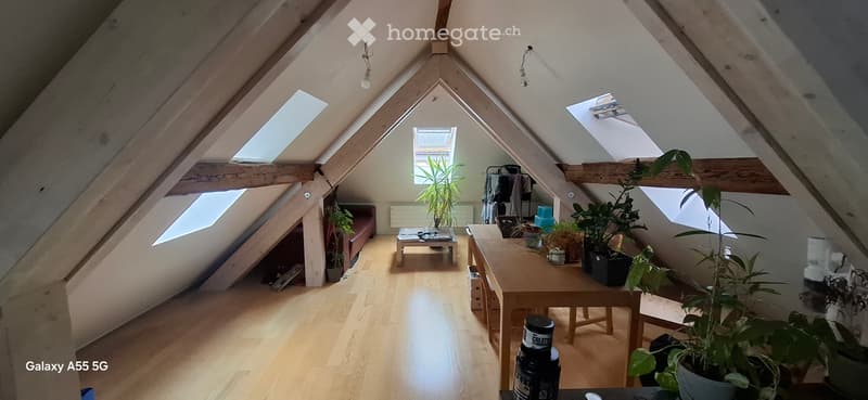 Appartement à remettre (5)