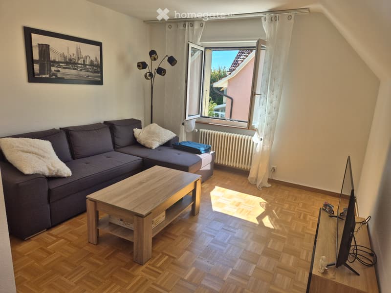 Magnifique 3.5 pièces / Charmante 3.5-Zimmer-Wohnung Biel (1)