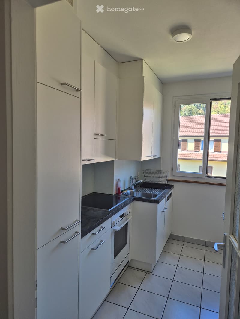 Magnifique 3.5 pièces / Charmante 3.5-Zimmer-Wohnung Biel (3)