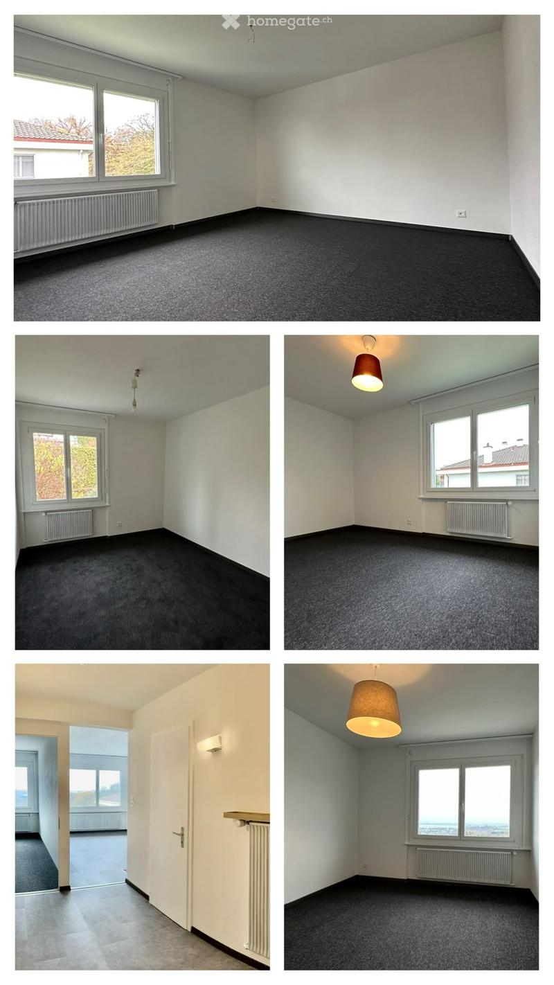 Spacieux 5.5 pc avec cheminée, piscine et vue sur lac (2)