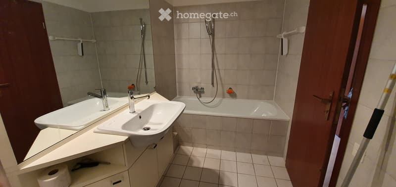 Magnifique appartement 3.5 en attique avec vue dégagée (2)