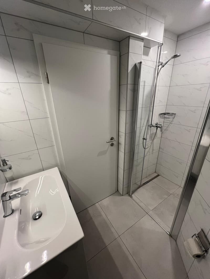 À LOUER : APPARTEMENT 3 PIÈCES ENTIÈREMENT RÉNOVÉ (5)