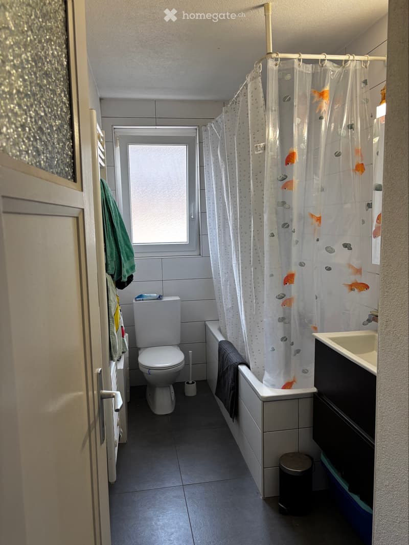Reprise de bail - appartement de 3 pièces (2)