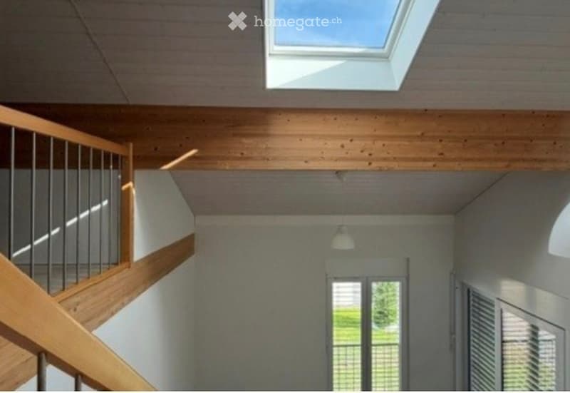 Appartement de 3.5 pièces + mezzanine (3)
