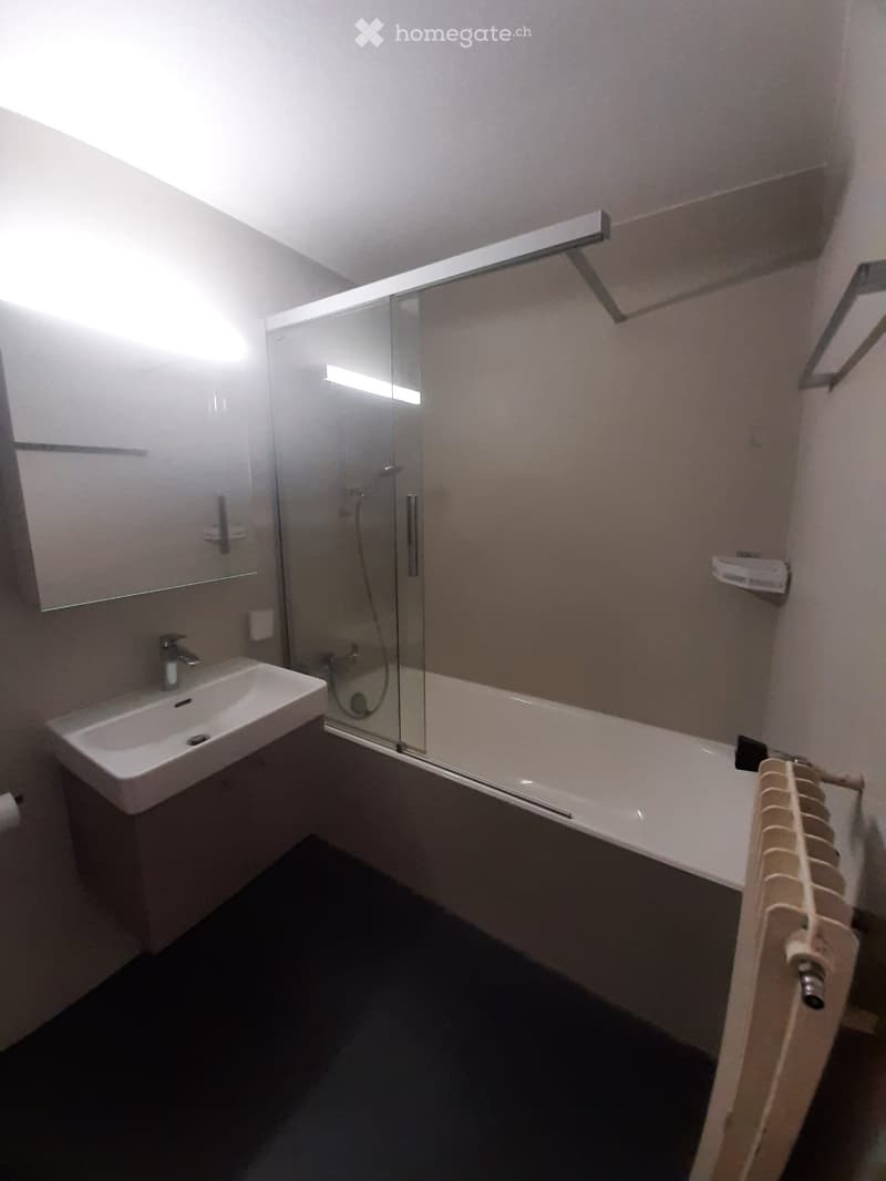 4,5 Zimmer Wohnung zu vermieten (4)