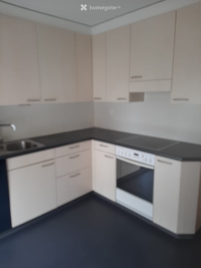 4,5 Zimmer Wohnung zu vermieten (3)