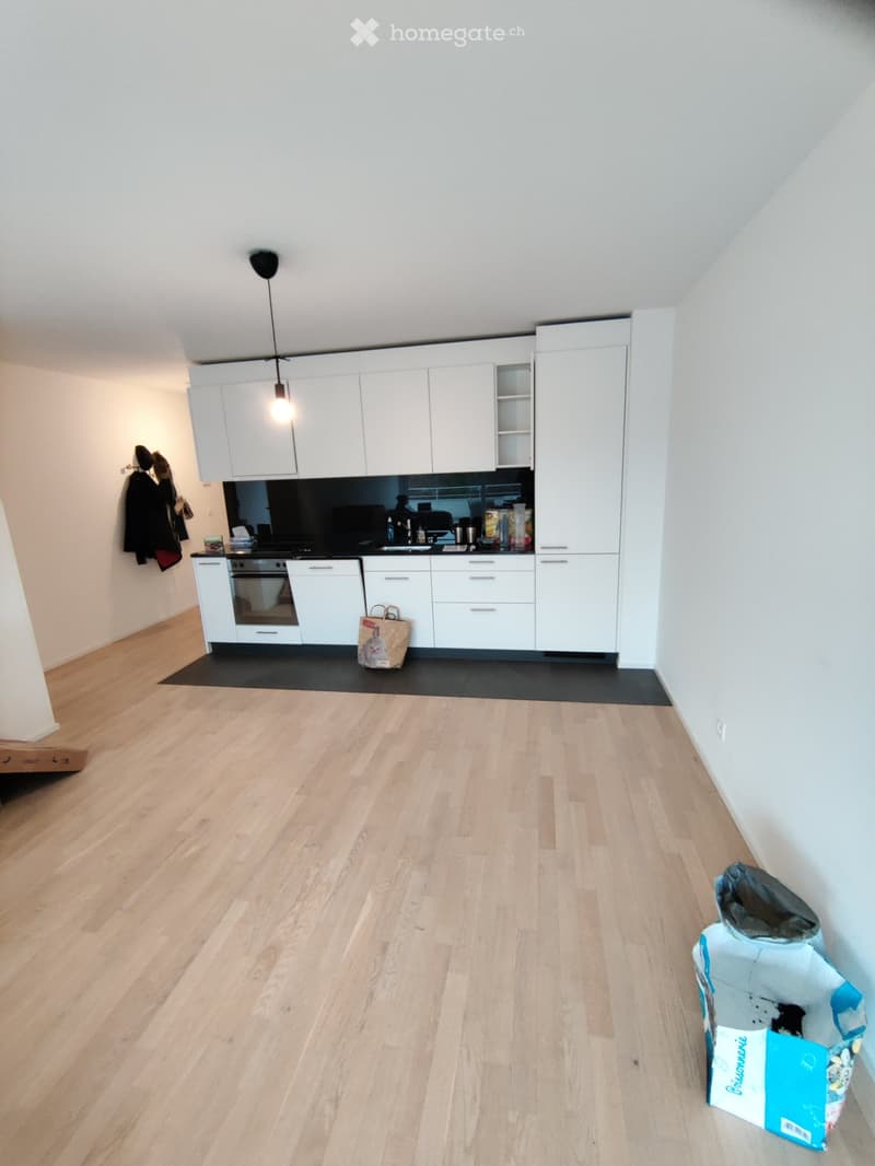 REPRISE DE BAIL - Appartement de 54m2 dans un quartier calme (3)