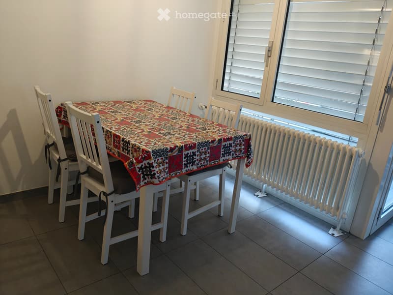 PARADISO 2.5 locali ristrutturato con terrazza e garage (2)