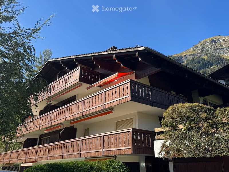 Appartement meublé de 2,5 pièces à louer (1)