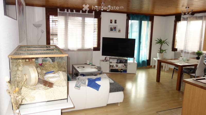 2,5 Zimmer-Wohnung in Kaltbrunn mieten, hell, grosszügig (1)