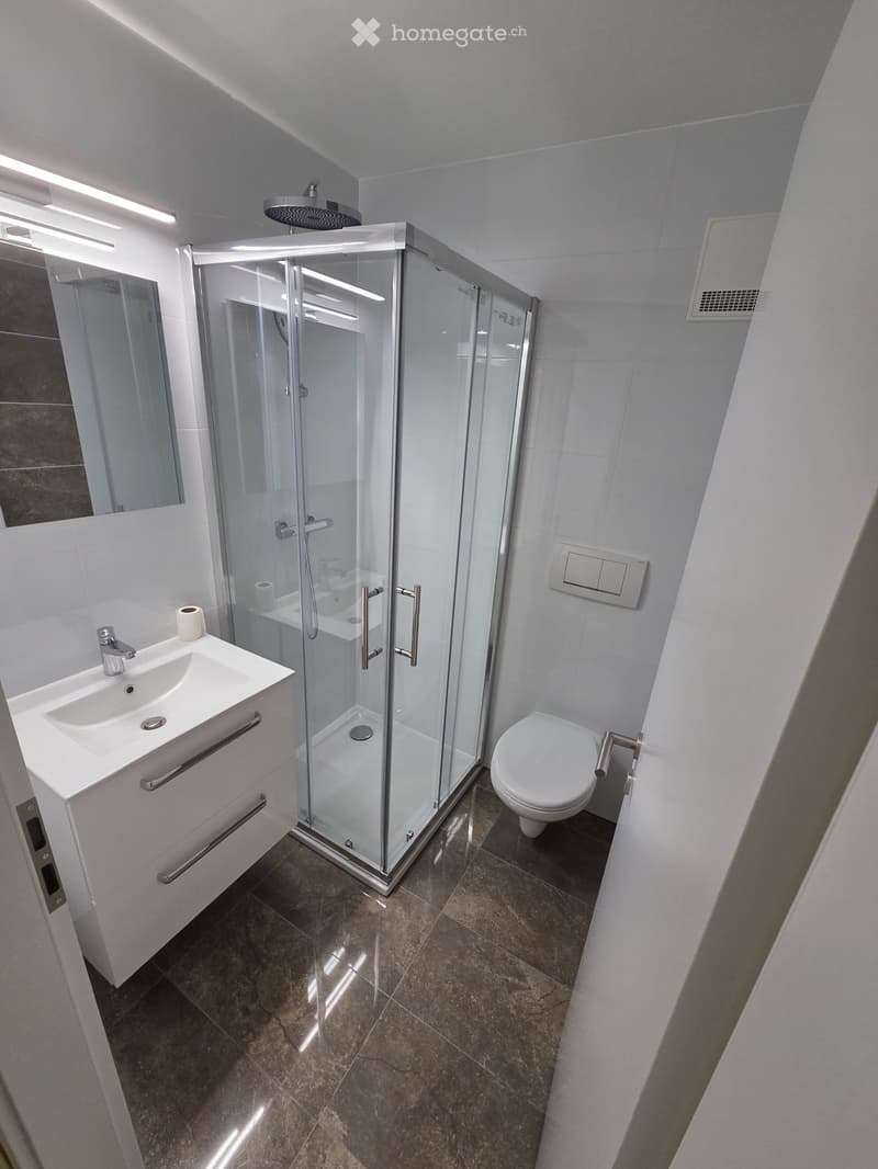 Appartement 4,5pcs à louer à Saxon dès le 1 janvier 2027 (5)